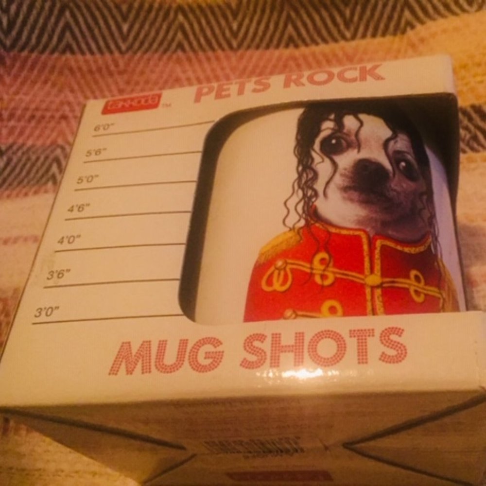 COPY - Pets Rock Mug